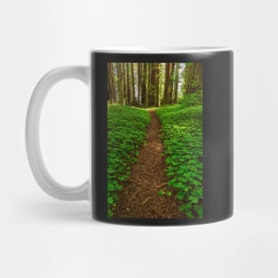 Redwood Forest Path Mug